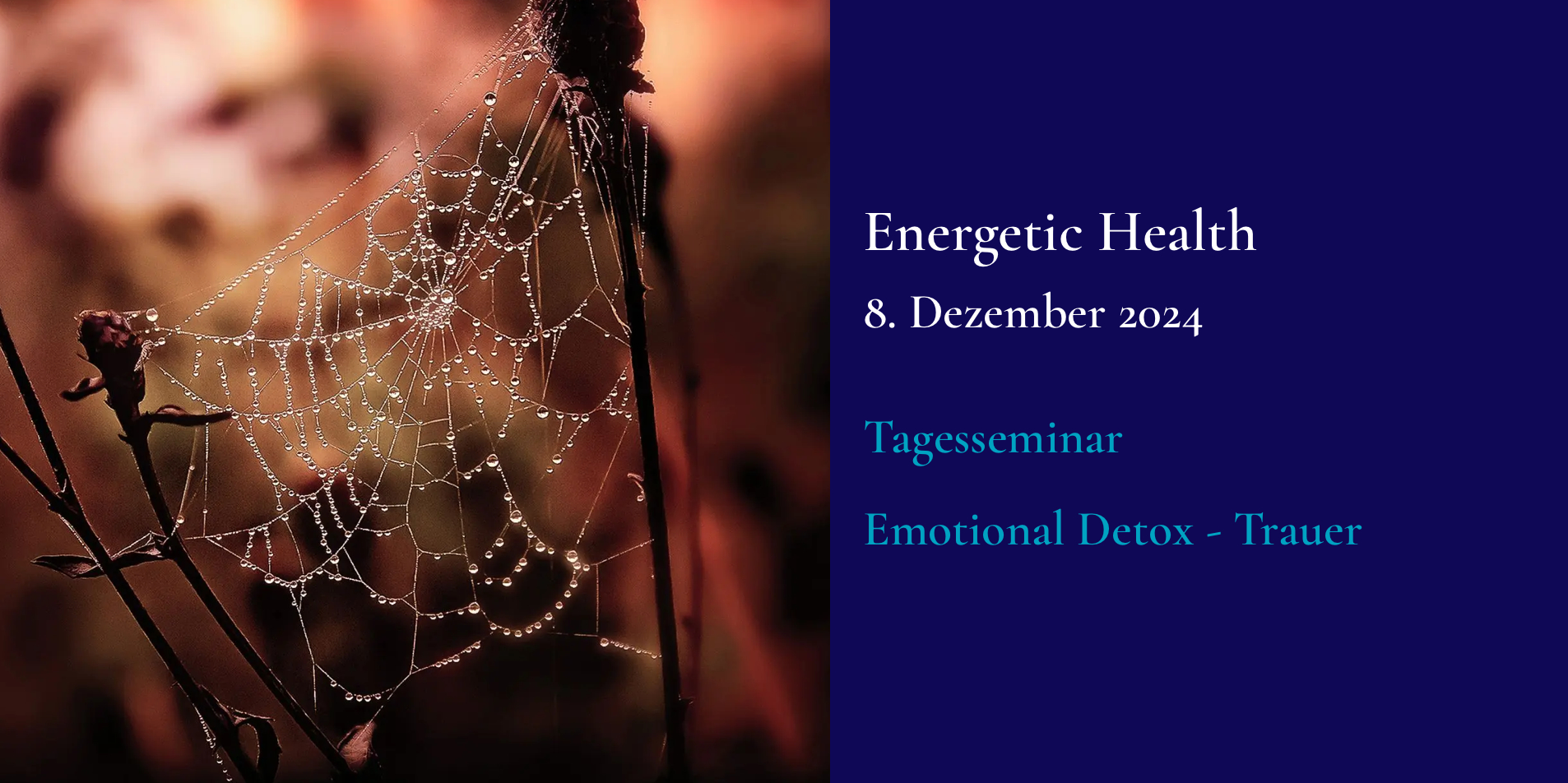 : #Emotionale Gesundheit #Spirituelle Anatomie #Vertrauen #Herzenskraft #Wohlbefinden #Meditation #Trauer #Verlust #Hoffnung #Vergangenheit