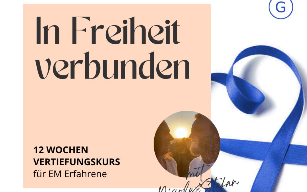 Vertiefungskurs – EM & Projektionsauflösung nach Gopal Norbert Klein